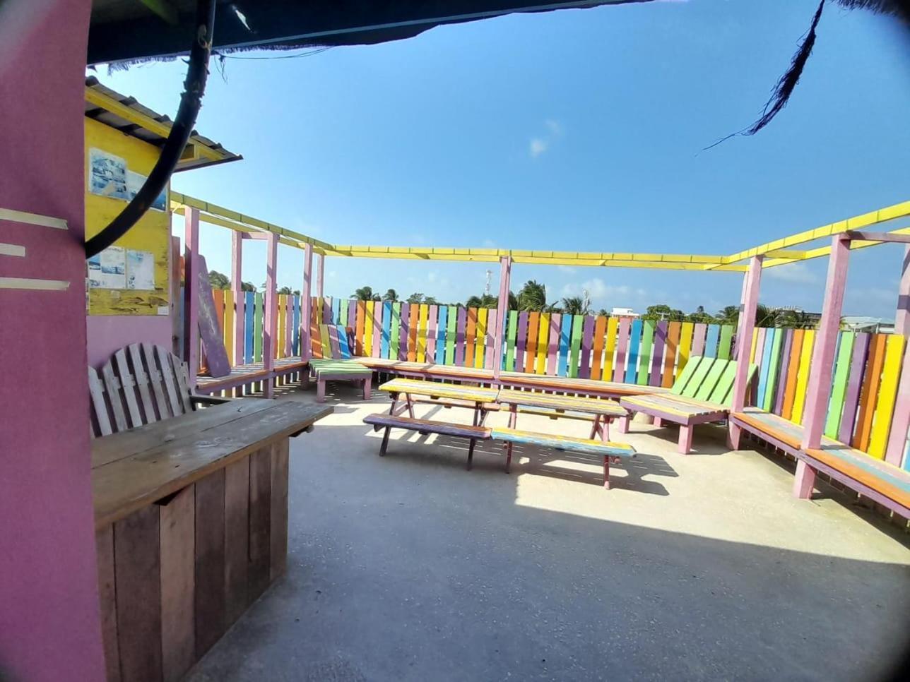 הוסטל קיי קולקר Travellers Palm Backpackers מראה חיצוני תמונה
