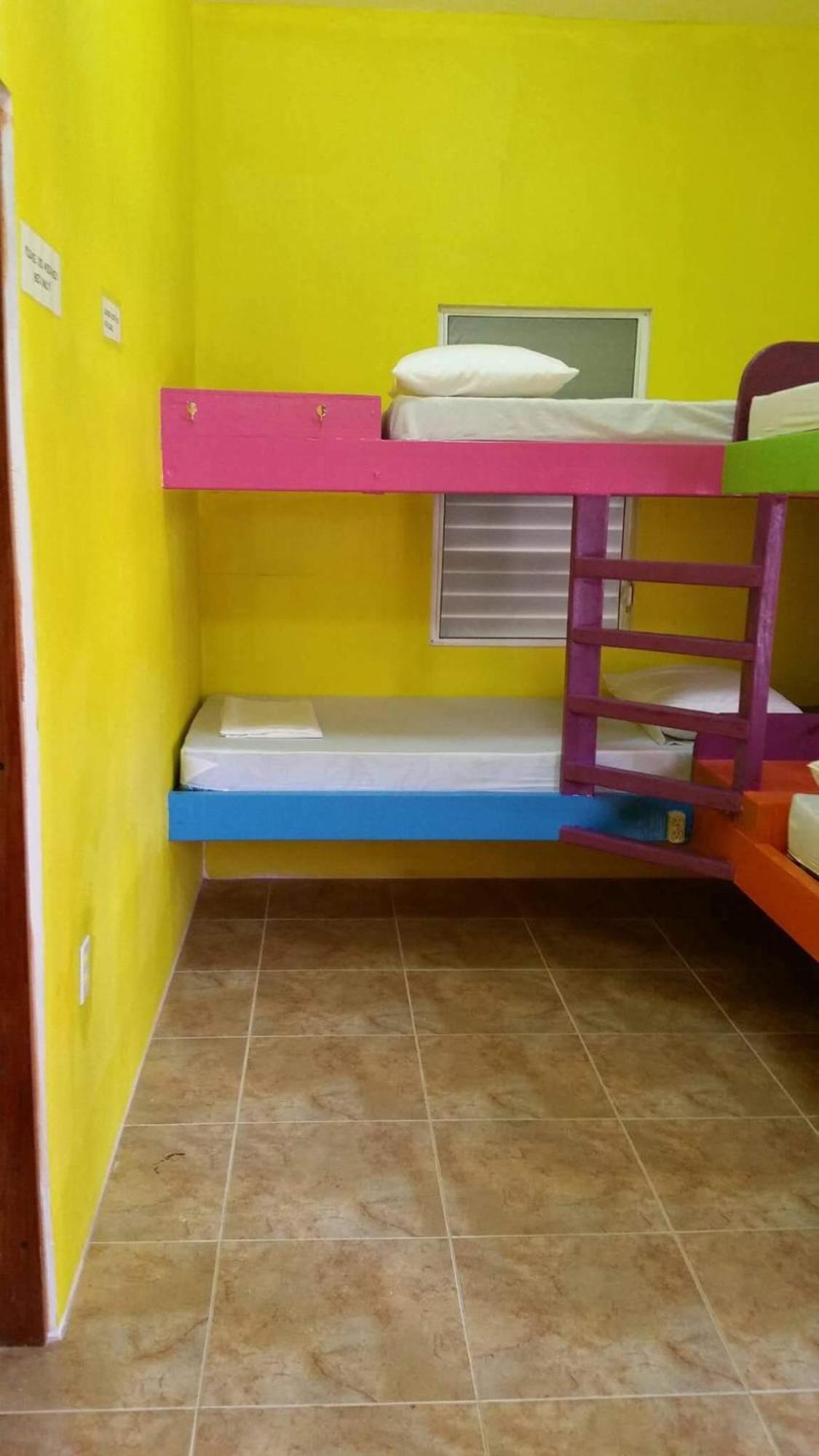 הוסטל קיי קולקר Travellers Palm Backpackers מראה חיצוני תמונה