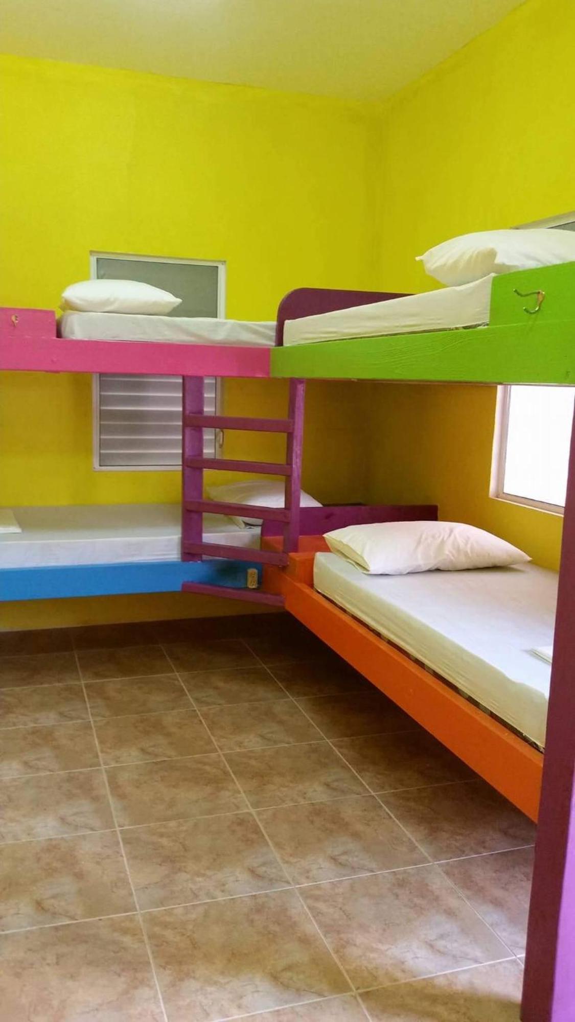 הוסטל קיי קולקר Travellers Palm Backpackers מראה חיצוני תמונה