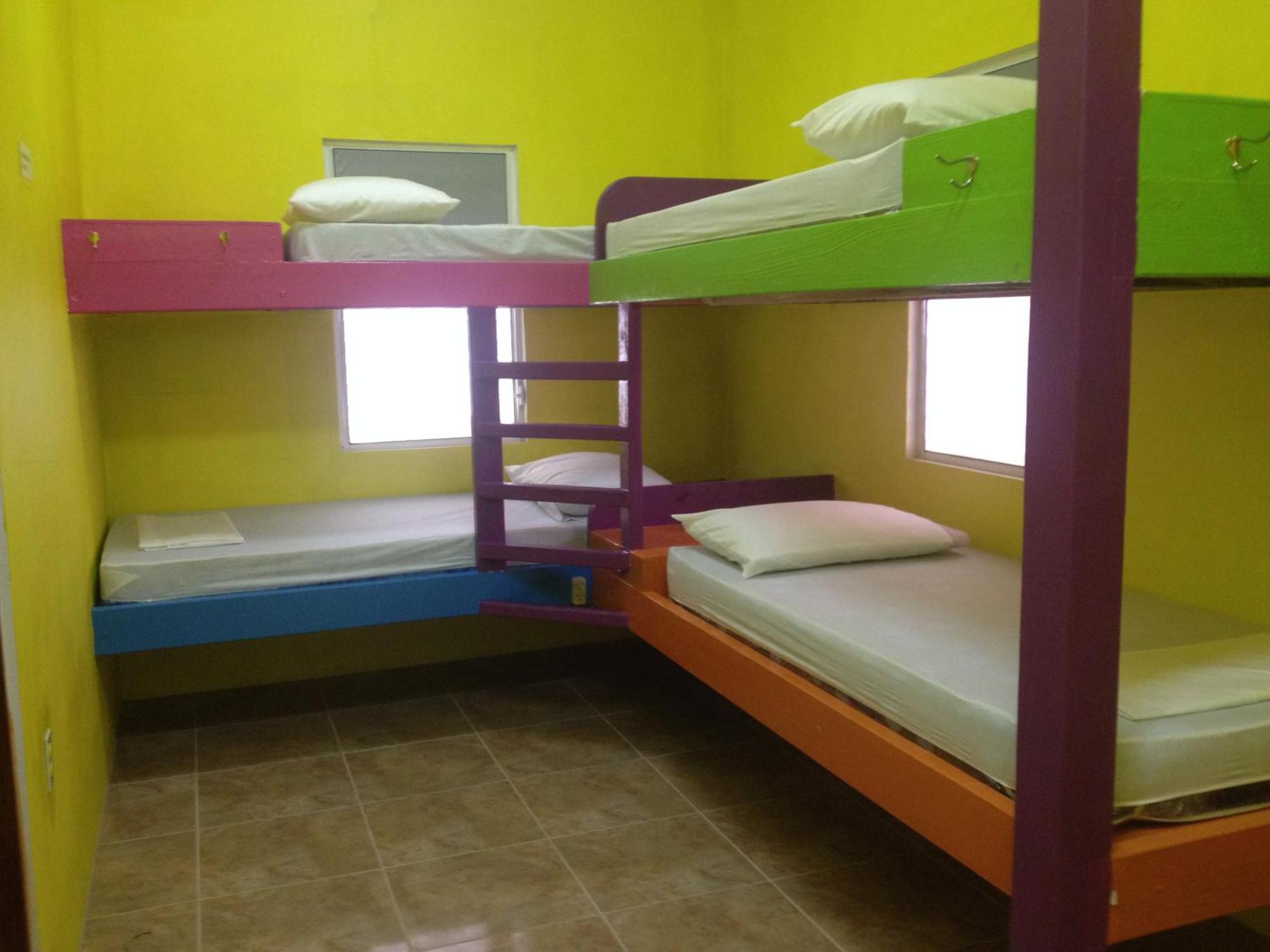 הוסטל קיי קולקר Travellers Palm Backpackers מראה חיצוני תמונה