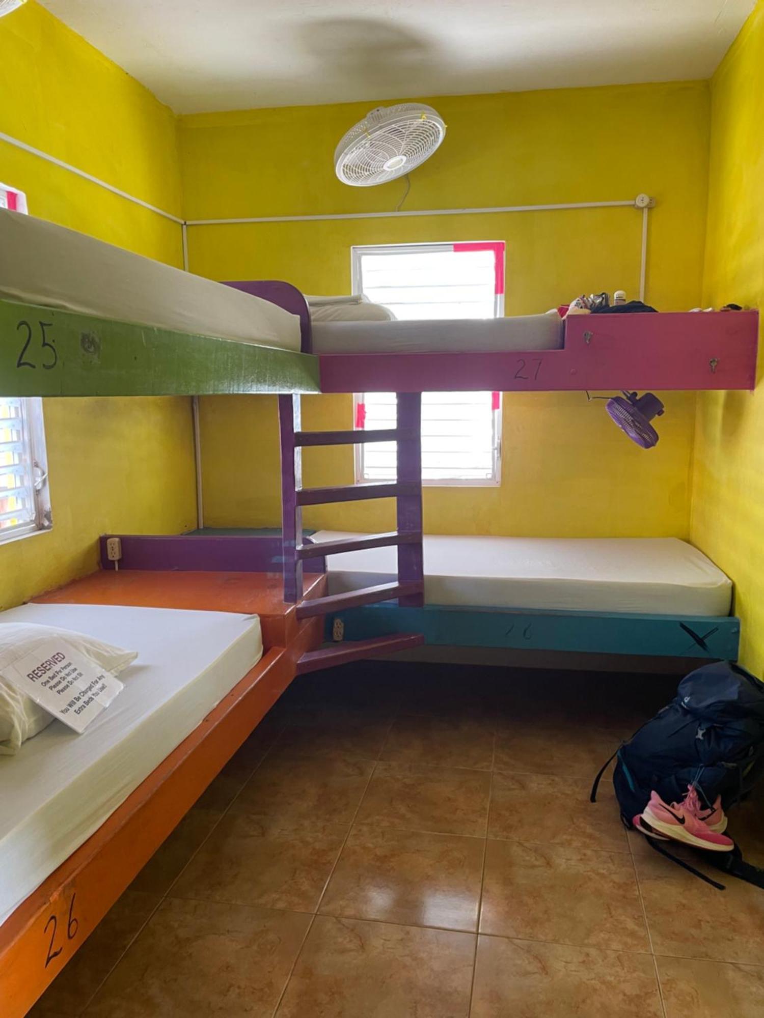 הוסטל קיי קולקר Travellers Palm Backpackers מראה חיצוני תמונה