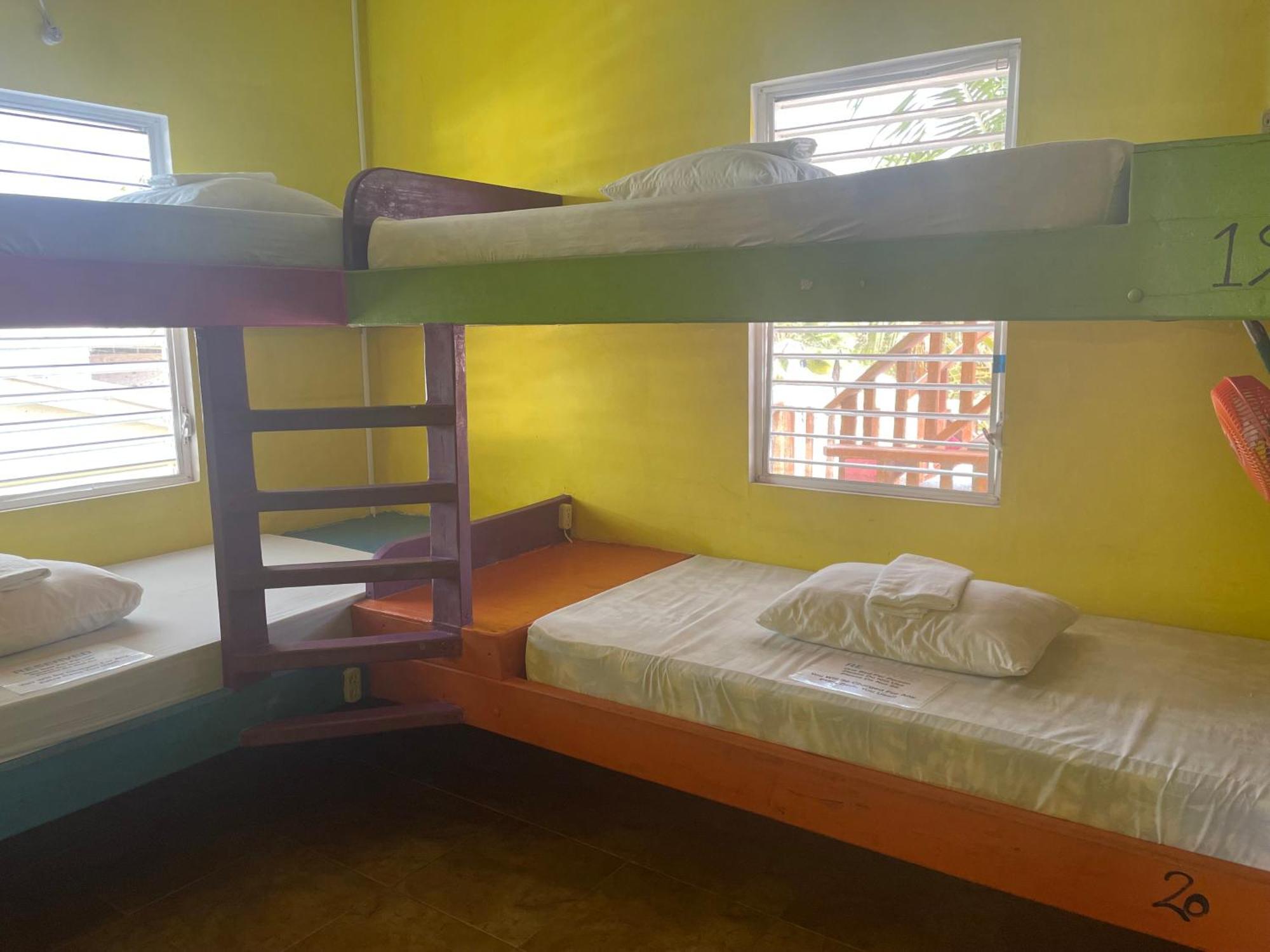 הוסטל קיי קולקר Travellers Palm Backpackers מראה חיצוני תמונה