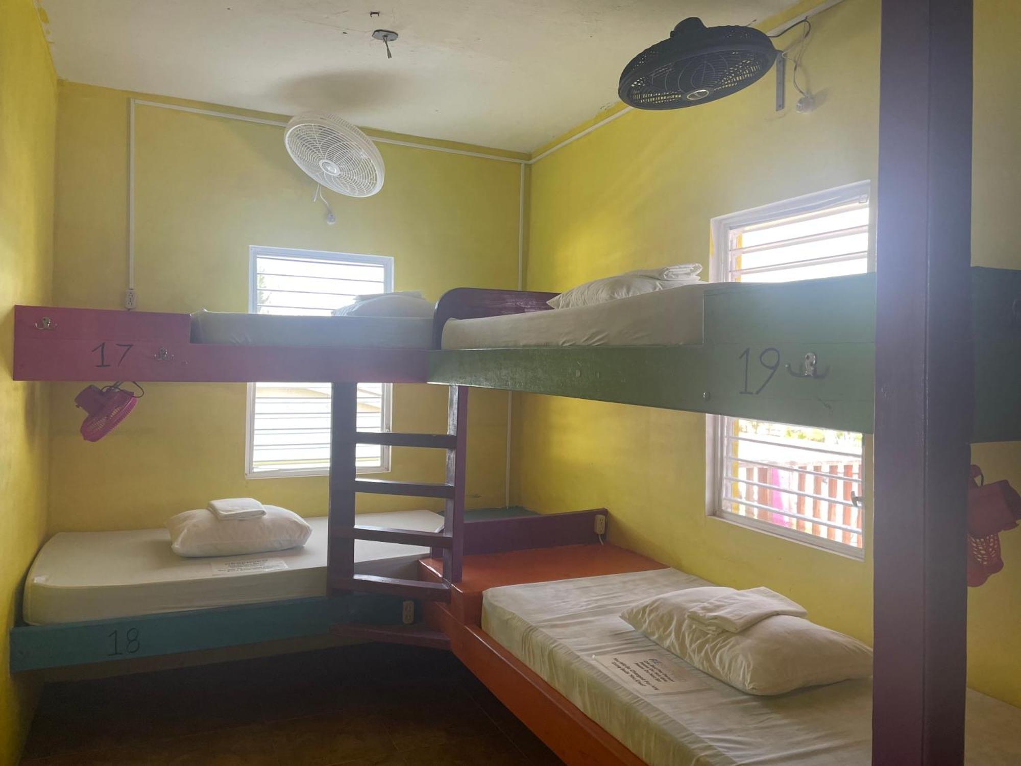 הוסטל קיי קולקר Travellers Palm Backpackers מראה חיצוני תמונה