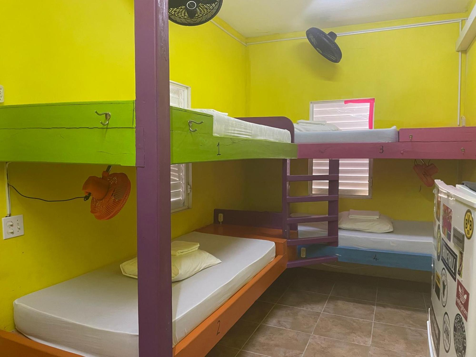 הוסטל קיי קולקר Travellers Palm Backpackers מראה חיצוני תמונה