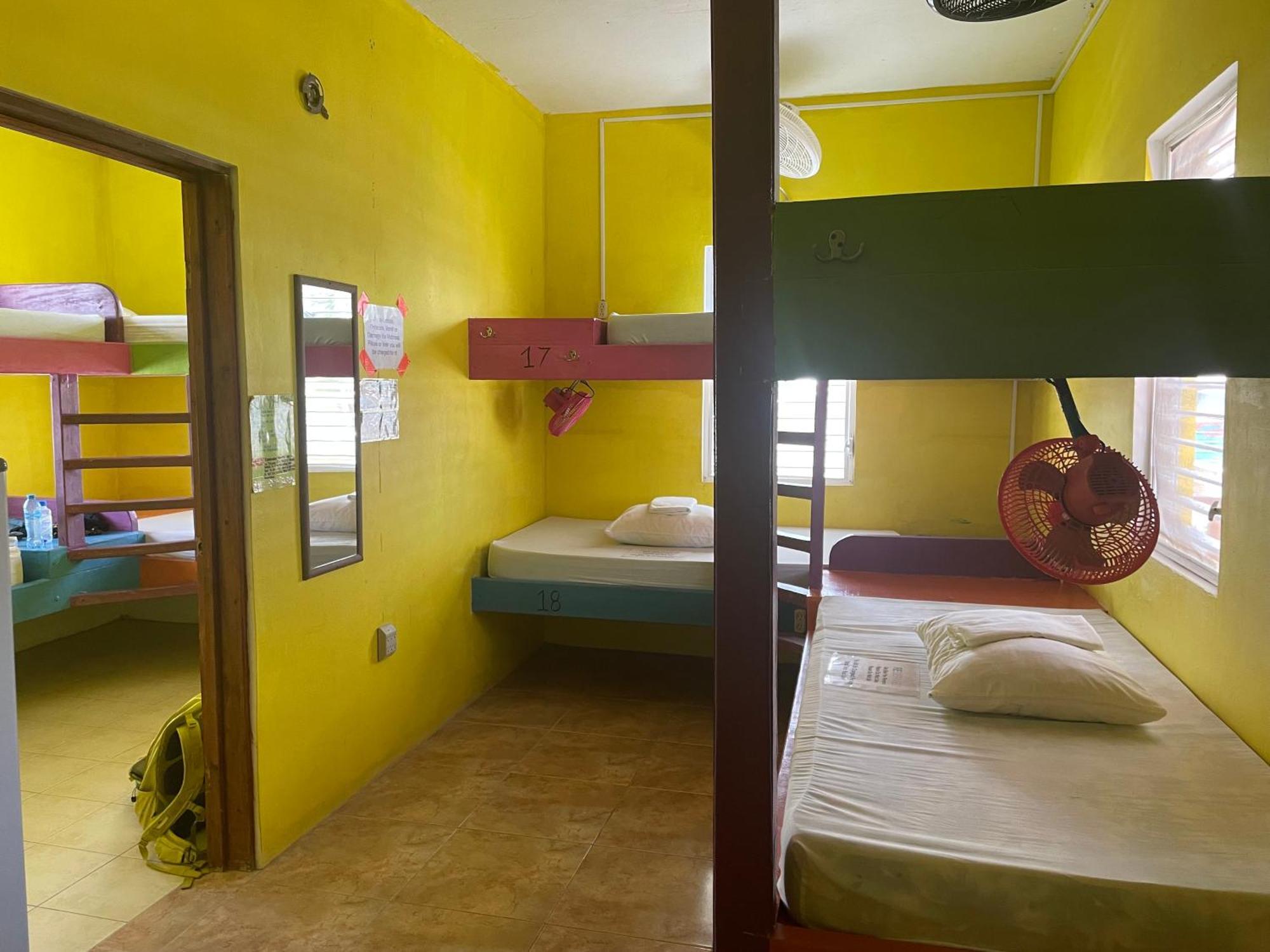 הוסטל קיי קולקר Travellers Palm Backpackers מראה חיצוני תמונה