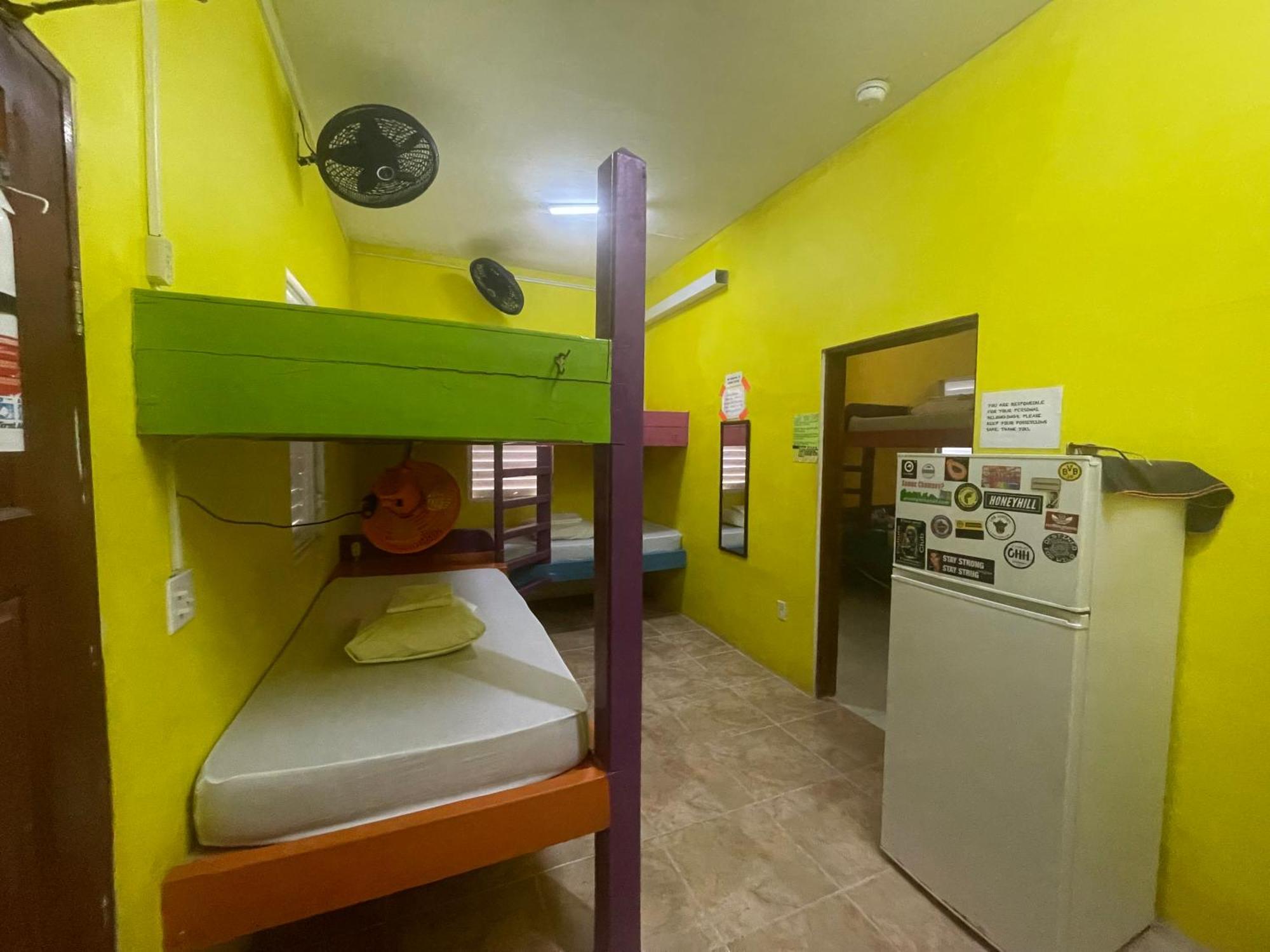 הוסטל קיי קולקר Travellers Palm Backpackers מראה חיצוני תמונה