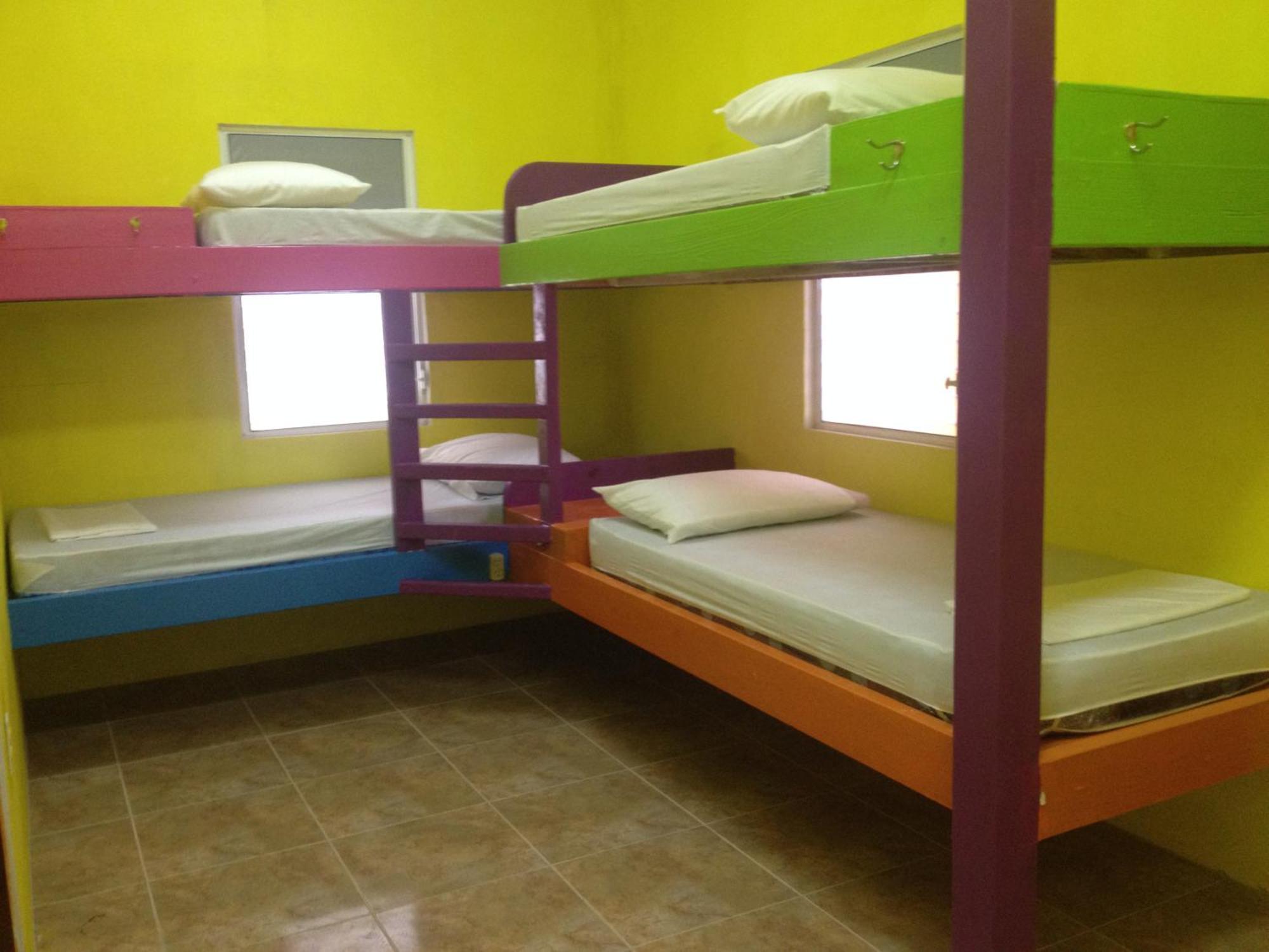 הוסטל קיי קולקר Travellers Palm Backpackers מראה חיצוני תמונה